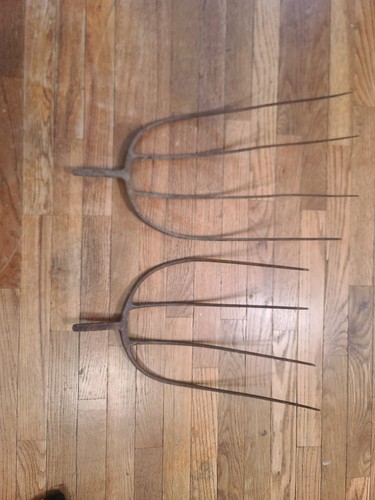 Pair large tine - of, 4