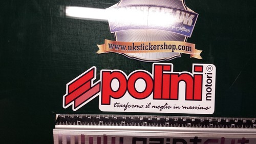 Large polini custom - large,