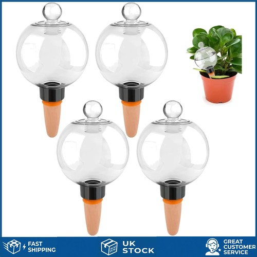 Efficient self watering globes - watering,