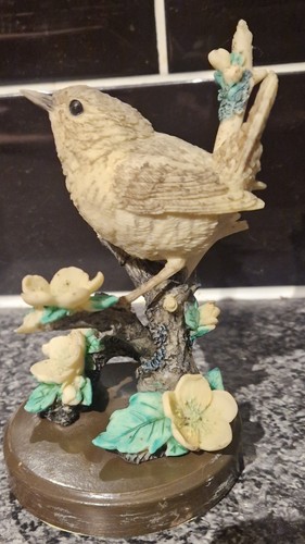British birds collection - birds, wren