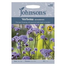 Johnsons  Verbena Bonariensis Seeds  200 Seeds  First Year Flowering 