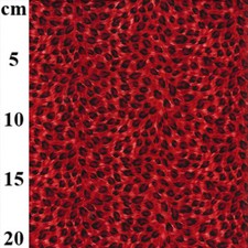 Animal Print Fabric Red Leopard Print Cotton Craft Fabric Material Metre