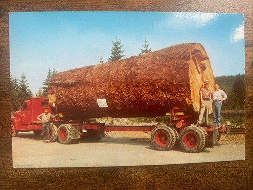 Giant fir log - giant, hauling