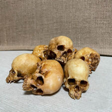 Human Skull Replica 1:12 Scale (hand Painted) Dollhouse Miniatures Accessories