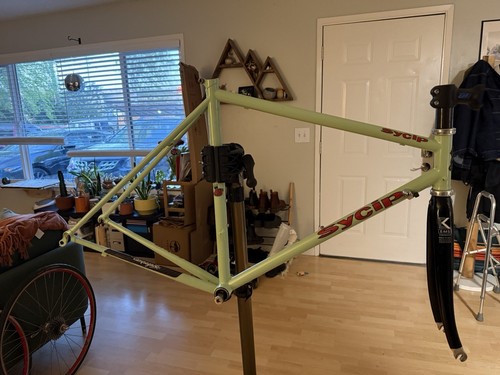 Sycip custom road bike - custom,
