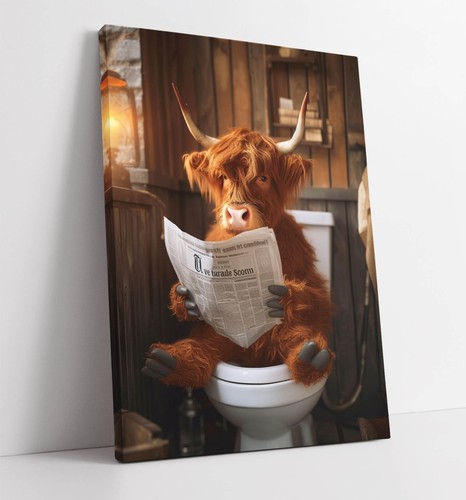 Highland cow reading - highland,