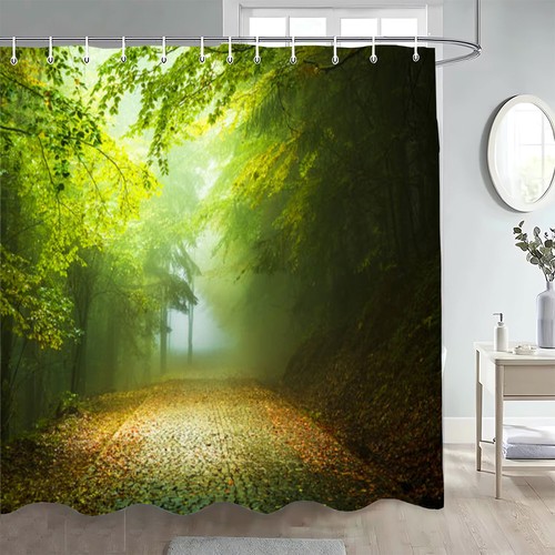 Large path beech tree - large,