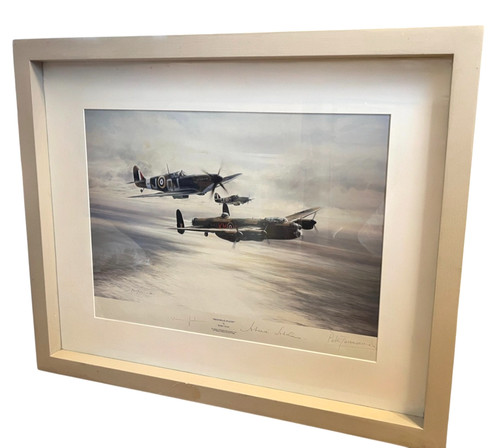 Robert taylor memorial flight - taylor,