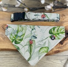 dog collar/matching Bandana, side release buckle, green, red. beige