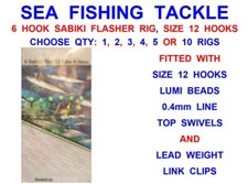 KOIKE 6 HOOK LUMI SABIKI