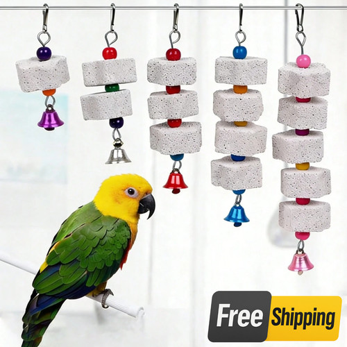 Bird chewing toy parrot - bird,