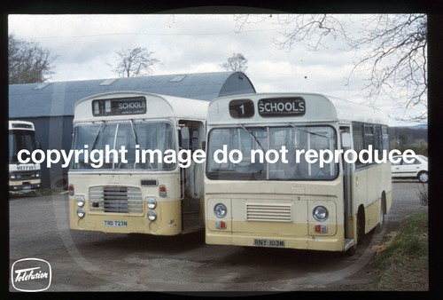 Copy bus slide meffan - bus,