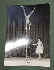 agency photo LADDER EQUILIBRIST circus variety VED SYLVOS photo