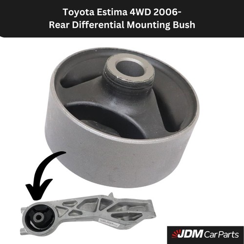 Rear differential mount for - differential,
