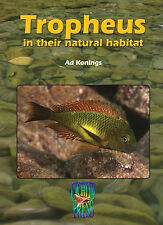 TROPHEUS in their Natural Habitat, by Ad Konings (Tanganyika Cichlids)