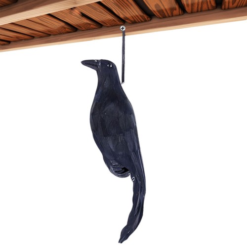 Garden crow decorate ornament - crow,