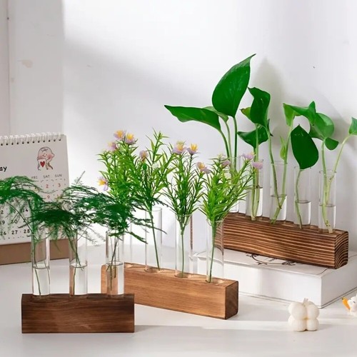 Hydroponic plant display set - hydroponic,