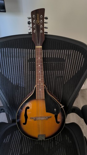 Banjo brunswick - banjo,