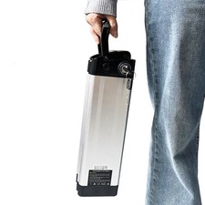 Silverfish 24V 10Ah for 250W