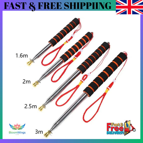 Extendable flagpole stainless - extendable,