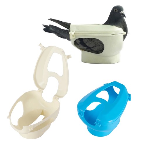 Racing pigeon holder - pigeon, medicine