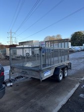 Indespension Caged Plant