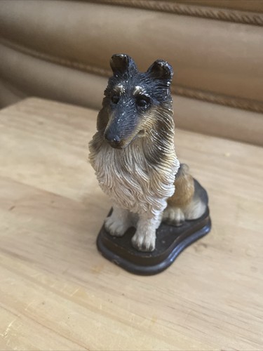 Tricolour rough collie a - tricolour, on