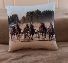 ** Romany - Gypsy Horse