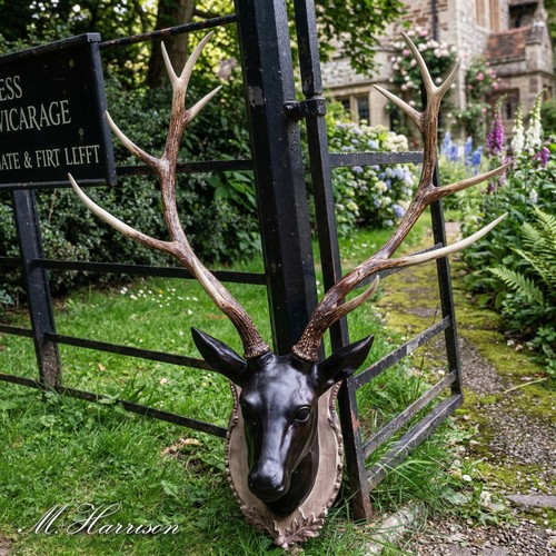 Large wall mounted - mounted, stag