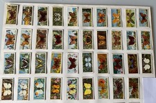 BRITISH BUTTERFLIES - BROOKE