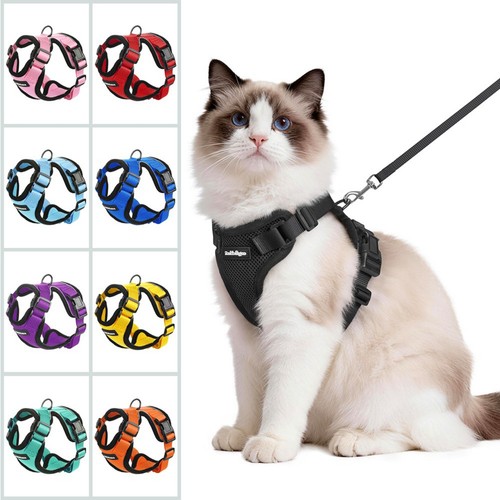 Rabbitgoo cat harness - &, lead