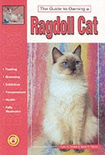 Guide to owning a ragdoll cat