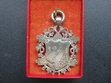 Boxed Solid Silver  Diving