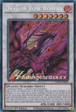 Yu-Gi-Oh! Dragon Rose Bronces: SE DOOD-FR039