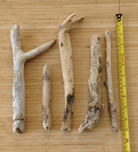 Collection five natural - collection,