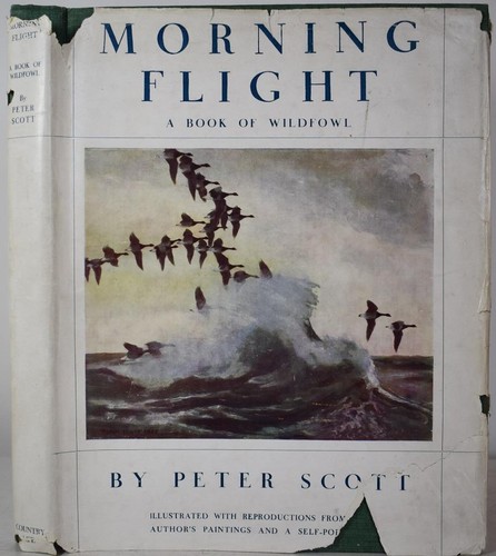 Morning flight book of - flight,