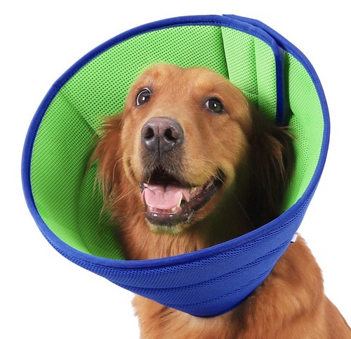 Size soft pet recovery cone - size,