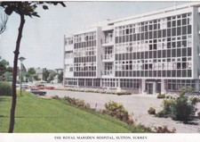 THE ROYAL MARSDEN HOSPITAL