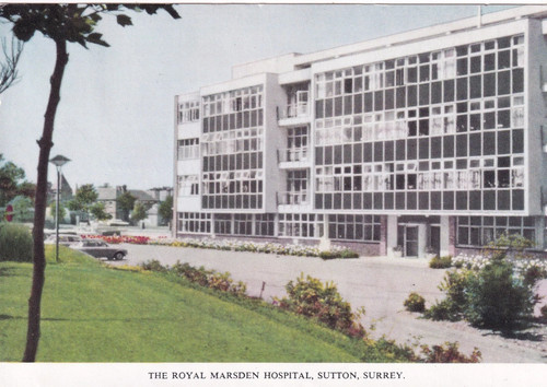 The royal marsden hospital - the,