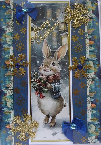 Cute bunny rabbit - cute,
