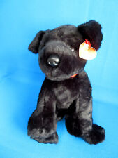 BLACK LABRADOR PUPPY DOG