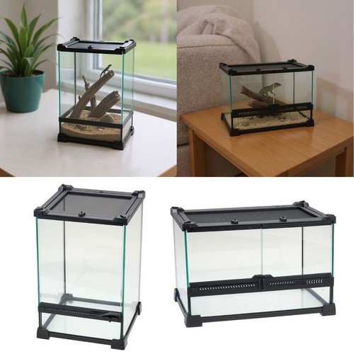 Glass reptile terrarium - reptile,
