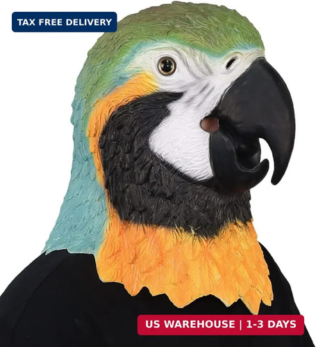 Mokry party parrot bird - party,