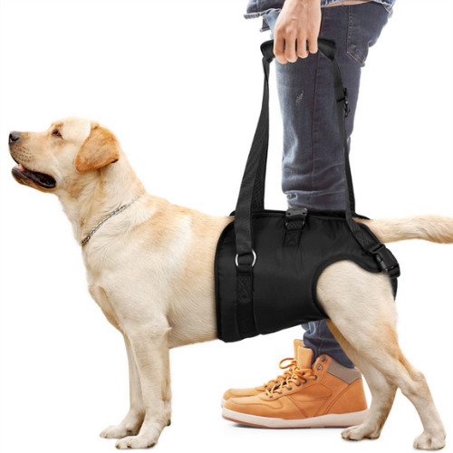 Dog sling hind leg support - hind,
