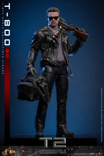 Hot toys mms795 terminator - toys,