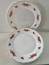 Vintage Arcopal France Dinner