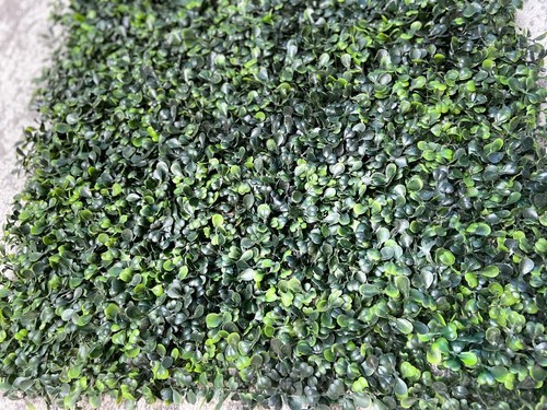 Hedgedin artificial boxwood - artificial,