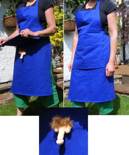 Funny apron mens secret willy - funny,