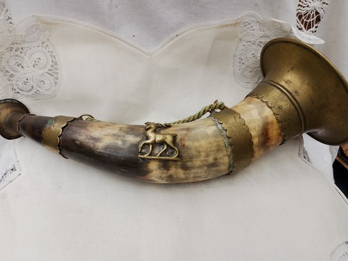 Antique bulls horn - bulls,