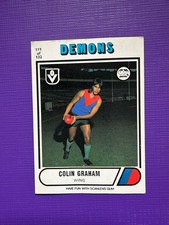 1976 Scanlens VFL Card #119